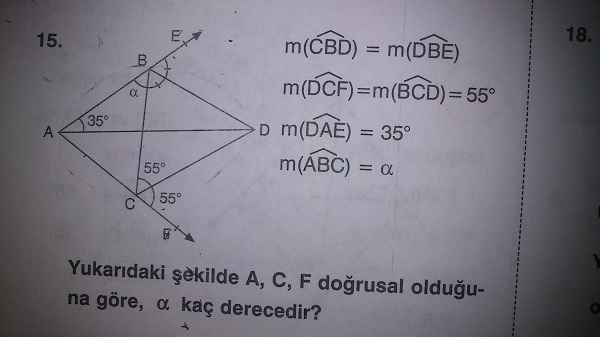 lif.jpg
