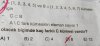 20181203_041154-min.jpg